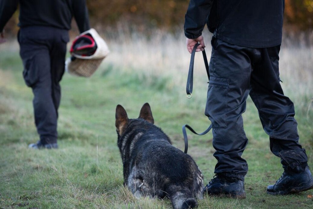 SECURITY DOGS DELIVER A ROBUST HIGH IMPACT AND HIGHLY VISIBLE PRESENCE