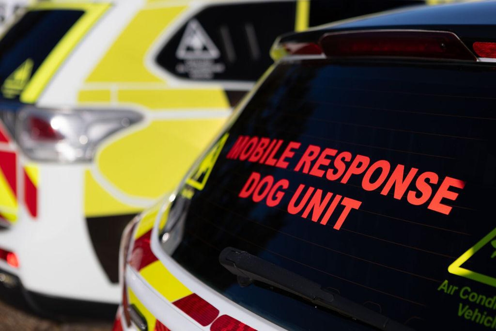 Security Dog Unit, mobile response